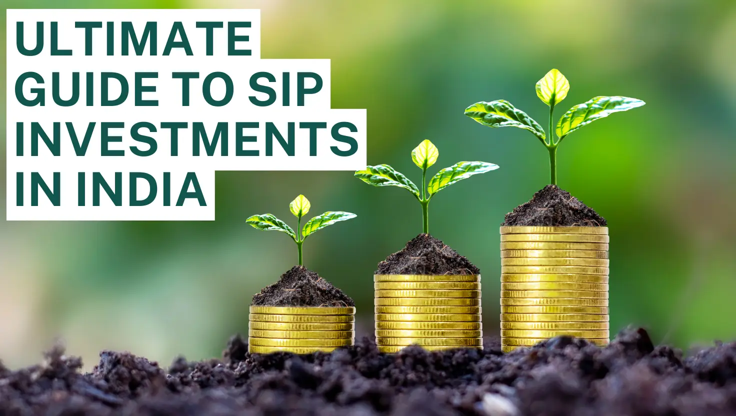 Ultimate Guide to SIP Investments in India